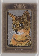 2026 Upper Deck Feline Collection Guide in-content 25