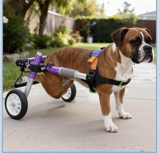 Dog Support Wheelchair for Back Legs Adjustable Dog Mobility Cart XS-B 