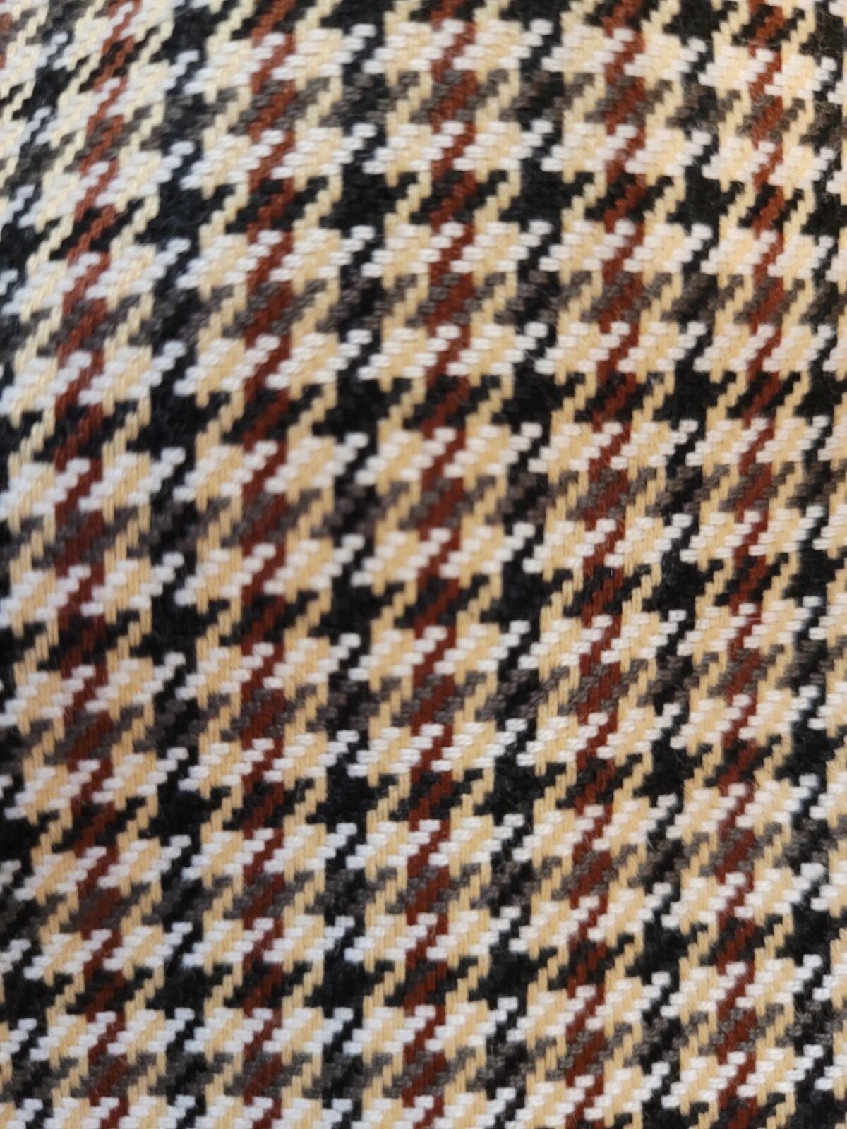 Picture 10 of 10