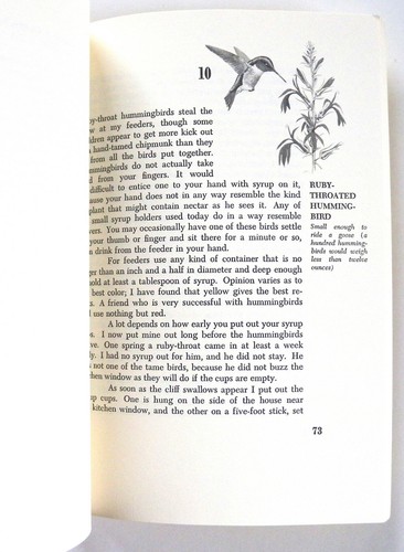 Hand-Taming Wild Birds at the Feeder : A Fascinating and Practical Guide to... - Picture 4 of 4