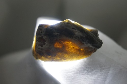 Darwin Glass -- 21g - Austalite - Darwinite - tektite - impactite #dwa13