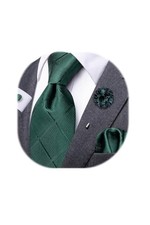 Mens Tie and Lapel Pin Paisley Striped Floral Necktie for Men Pocket Green C