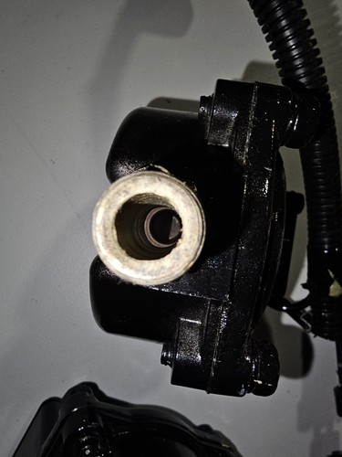 Two MACK 745-800077, 745800077, 109063 BENDIX DV-2 12V AUTOMATIC RESERVOIR DRAIN - Picture 8 of 12