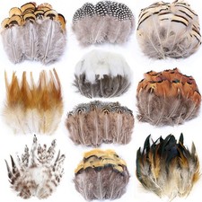 200Pcs 10 Style Natural Feathers Assorted Mixed Feathers for Dream Catcher Craft
