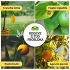 Foto 4 di 10