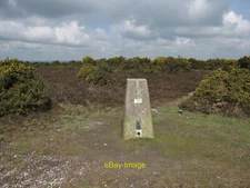 Photo 12x8 Trig point on Hampton Ridge Blissford 100m above sea level. c2010
