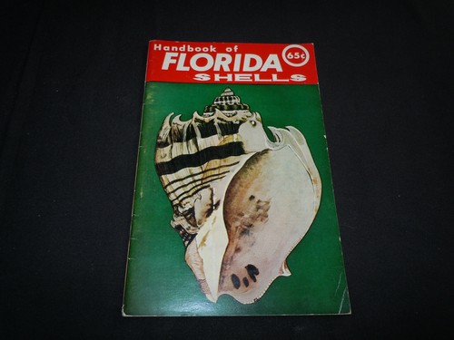 Handbook of Florida Shells from Great Outdoors Association. 1957  48 pg booklet 