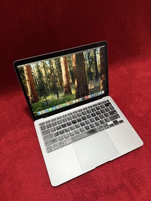 Apple MacBook Air 13.3 in Intel Core i3 1.10 GHz 8GB 256GB