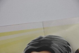 LEGO&reg; Friends 41324 Snow Resort Ski Lift Instruction Manual Only!