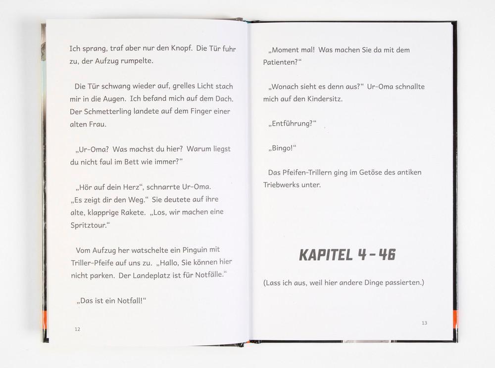 Thumbnail - Die Quantastischen Ulrich Fasshauer Buch Super Lesbar 96 S. Deutsch