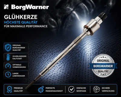 BORGWARNER (BERU) Glühkerze (PSG006) passend für Astra Mk VI OPEL Cascada