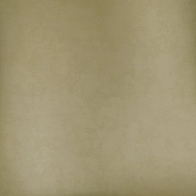DW1008 - Designer Walls Uni Textur Gold Galerie Tapete