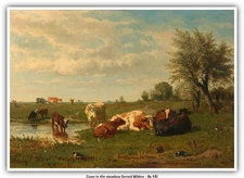 Cows in the meadow Gerard Bilders