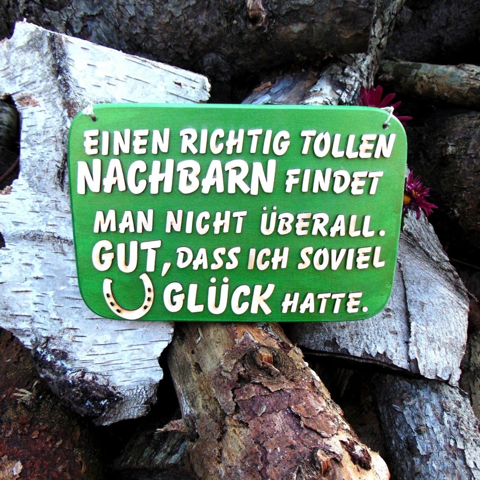 Geschenk Türschild Spruch lustig einen richtig tollen Nachbar findet