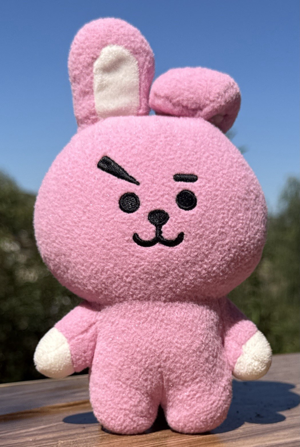 Cooky Peluche BT21 - Auténtico y Original | 2026 ️