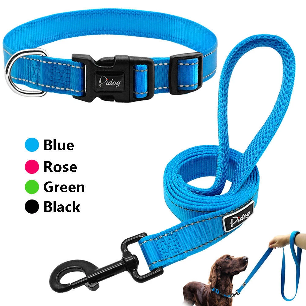 Matching collar and leash cheap