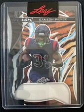 Dameon Pierce 2023 Leaf Eclectic Flash Proof RC Card #1/1