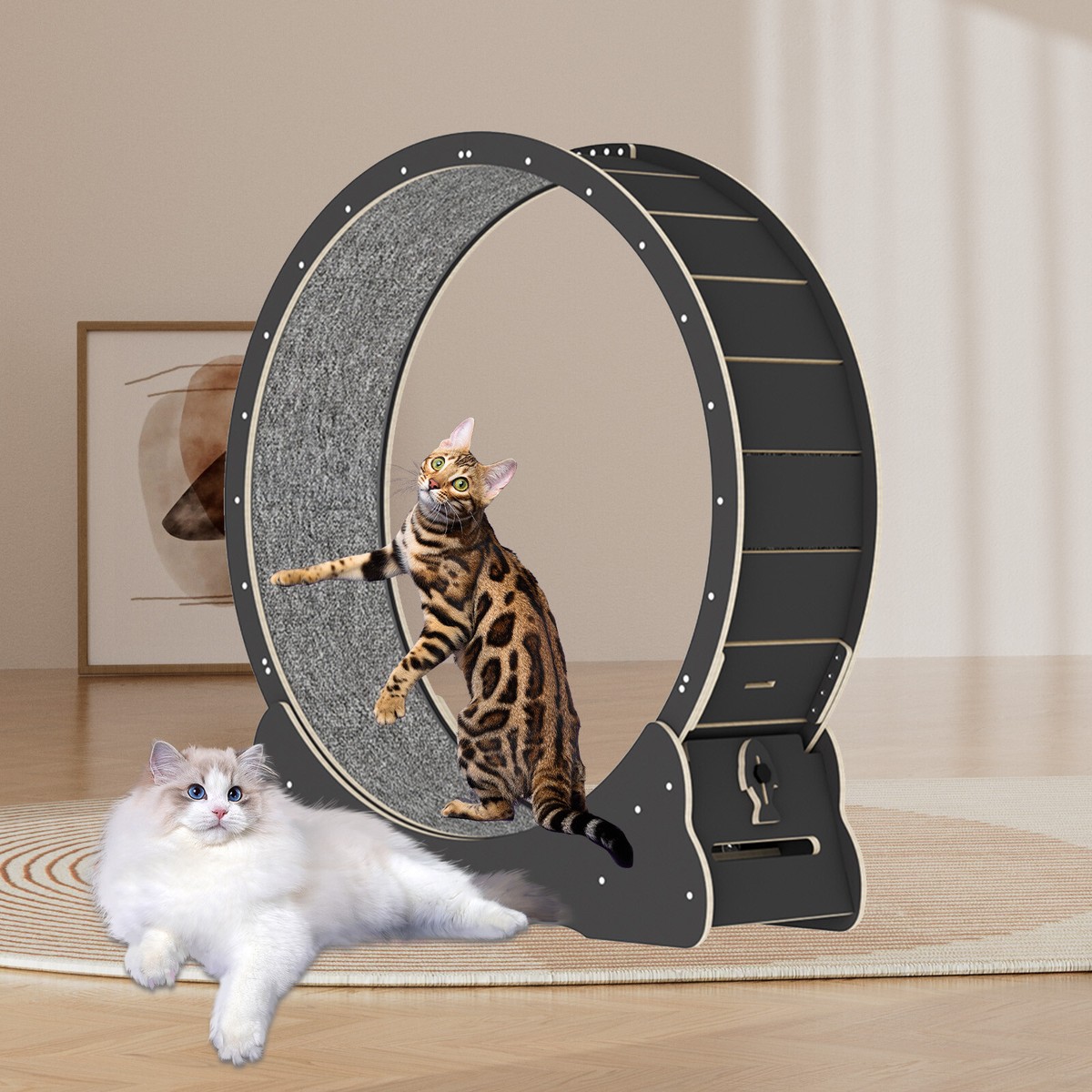 SYKJ Cat Treadmill 直径110cm SYKJ Cat Treadmill 直径110cm Star Cat Wheel, Cat Treadmill