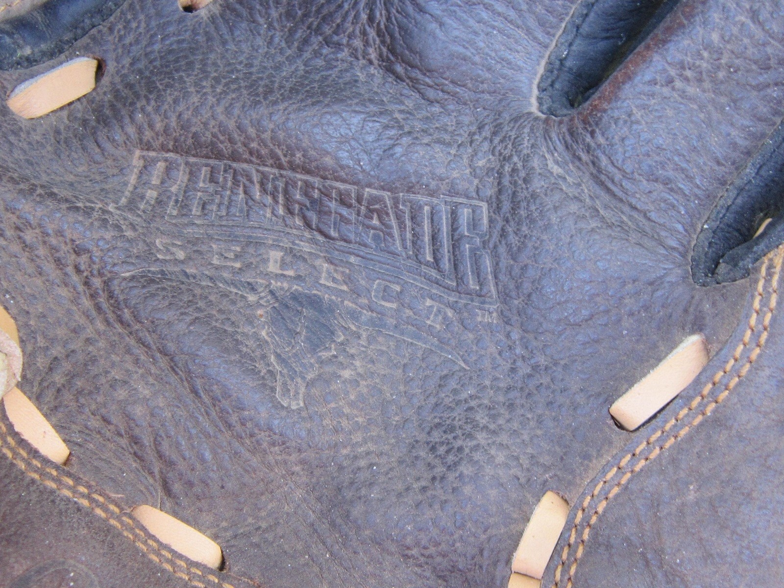 Picture 7 of 8