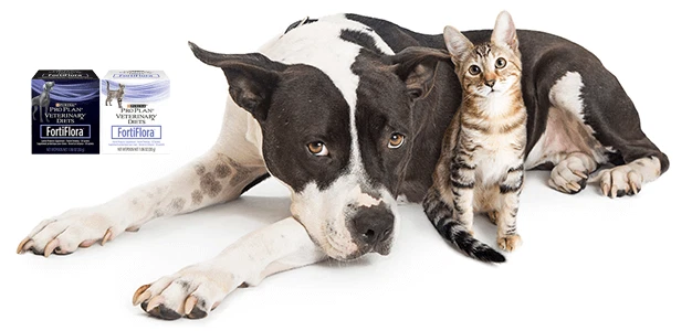 FORTIFLORA¹Chien Purina probiotique Diet complement intestinal 10/30/60 sachets - Bild 4 von 4