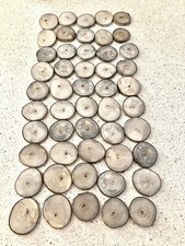 WALNUT Slices APPROX 2 INCH 50 WOODEN CRAFTS WEDDING ORNAMENTS ROUND DRIED