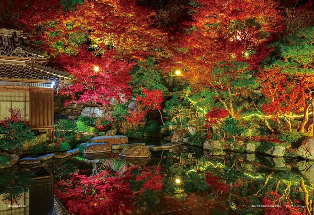 売場 あぜ道の秋 植物/観葉植物 - LITTLEHEROESDENTISTRY