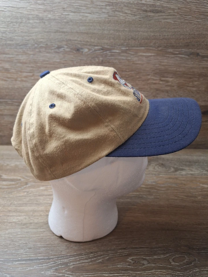 De Colección Carolina del Sur Stingrays Snapback Sombrero/Gorra Ligas Menores EE. UU. - Color Tostado Foto 3 de 4