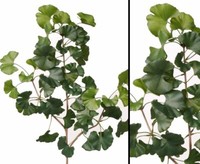 Ginkgo Baum Zweig Schwer Entflammbar, LäNge 70Cm Von Ibizanos