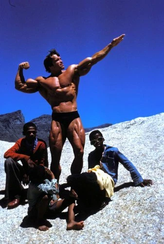 Pumping Iron - Arnold Schwarzenegger - Body Building - DVD, NEU                  - Bild 4 von 4