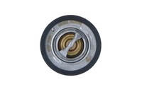 Thermostat Ford 88C Transit 06-