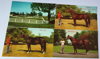 #ad 4 CALUMET FARM LEXINGTON KENTUCKY DERBY WINNERS CITATION BULL LEA WHIRLAWAY MINT $29.99
