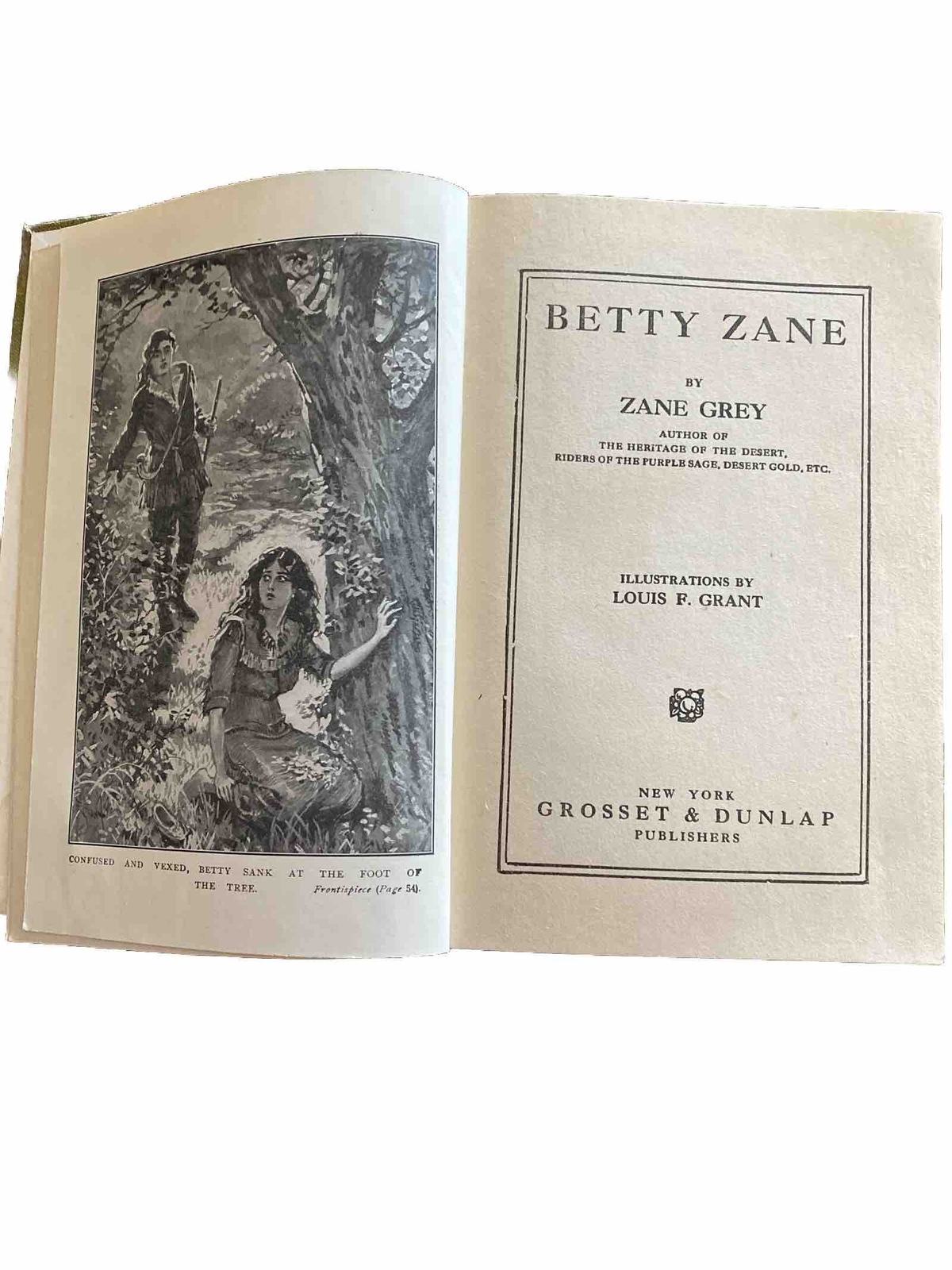 1903 Antique; Betty Zane by Zane Grey; HC Pioneer Ohio; Nice Condition eBay