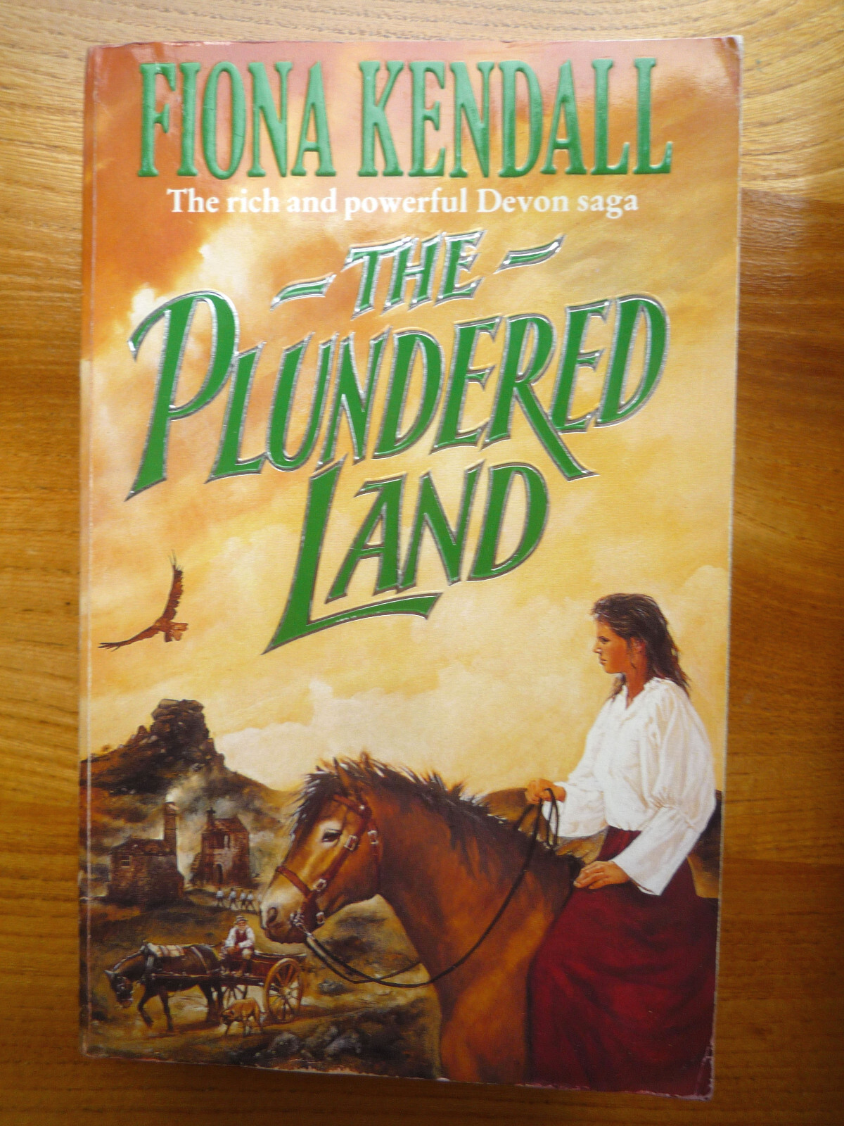 The Plundered Land: by Fiona Kendall (Paperback) Used - Good