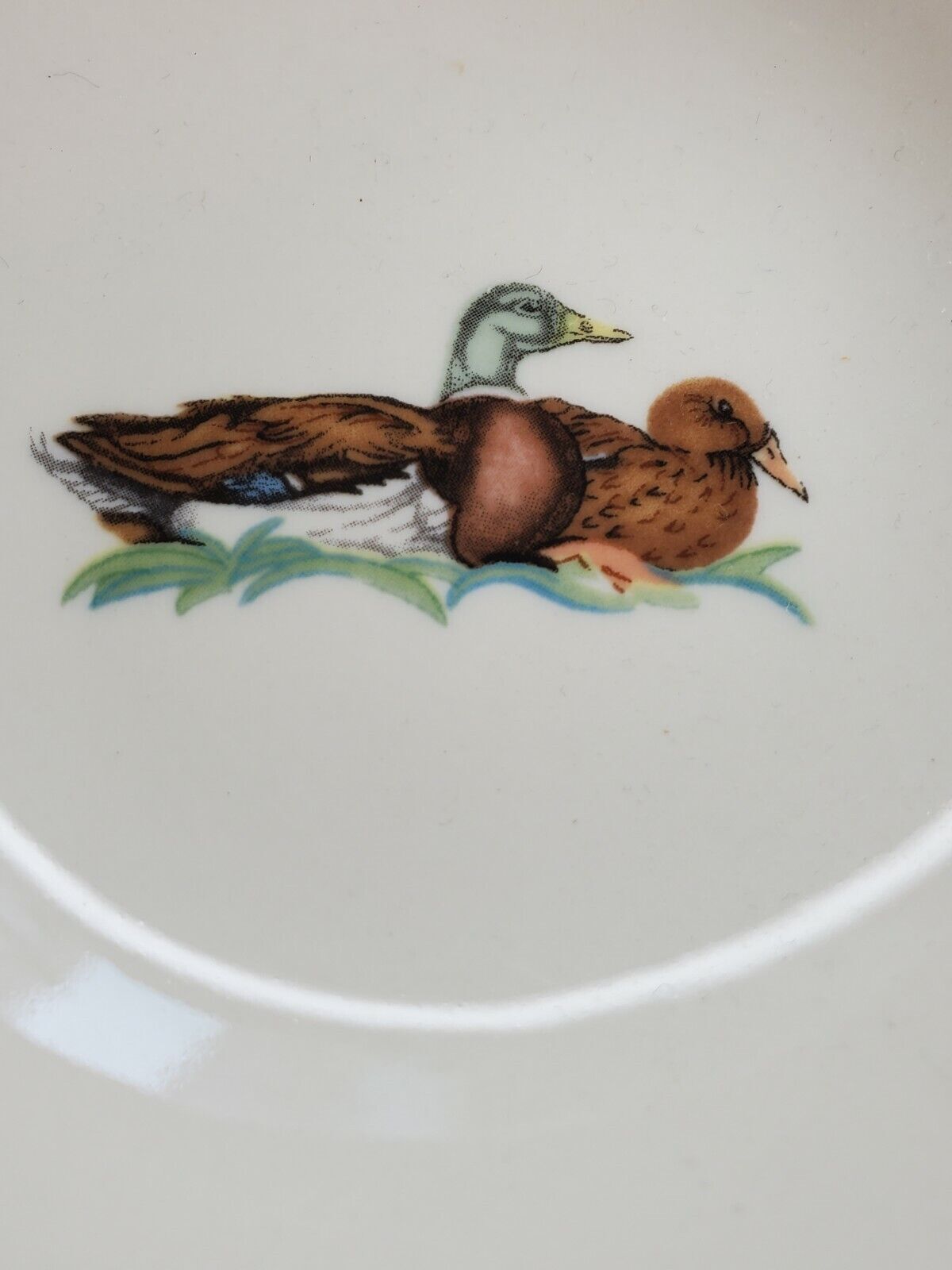Johnson brothers 6" Bowl And Plate Set England, ducks Motif