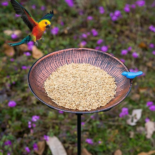 Metal Bird Bath for Outdoor,10" Wide Standing Frees Birdfeeder with Metal Stake, - Picture 5 of 8