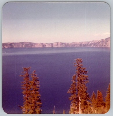 Vtg Color Snapshot Scenic Crater Lake National Park Oregon Pine Trees 1970s
