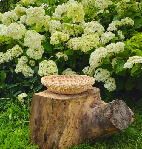 Rustic Bread Wicker Basket – Handwoven Natural Table Centerpiece - Picture 11 of 14