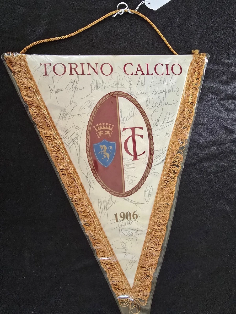TORINO calcio CARTOLINA-stagione 1976-77-campione d'italia autografi stampati