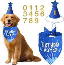 Dog Birthday Party Supplies, Blue Dog Birthday Set with Hat Bandana Numbers for