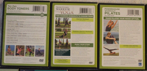 11 Gaiam yoga workout DVD lot Rodney Yee Trudie Styler 5 day fit Pilates Ten Zen - Imagen 4 de 8