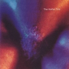 The Hafler Trio - Masturbatorium (CD, Album) (Near Mint (NM or M-)) - 4018625152