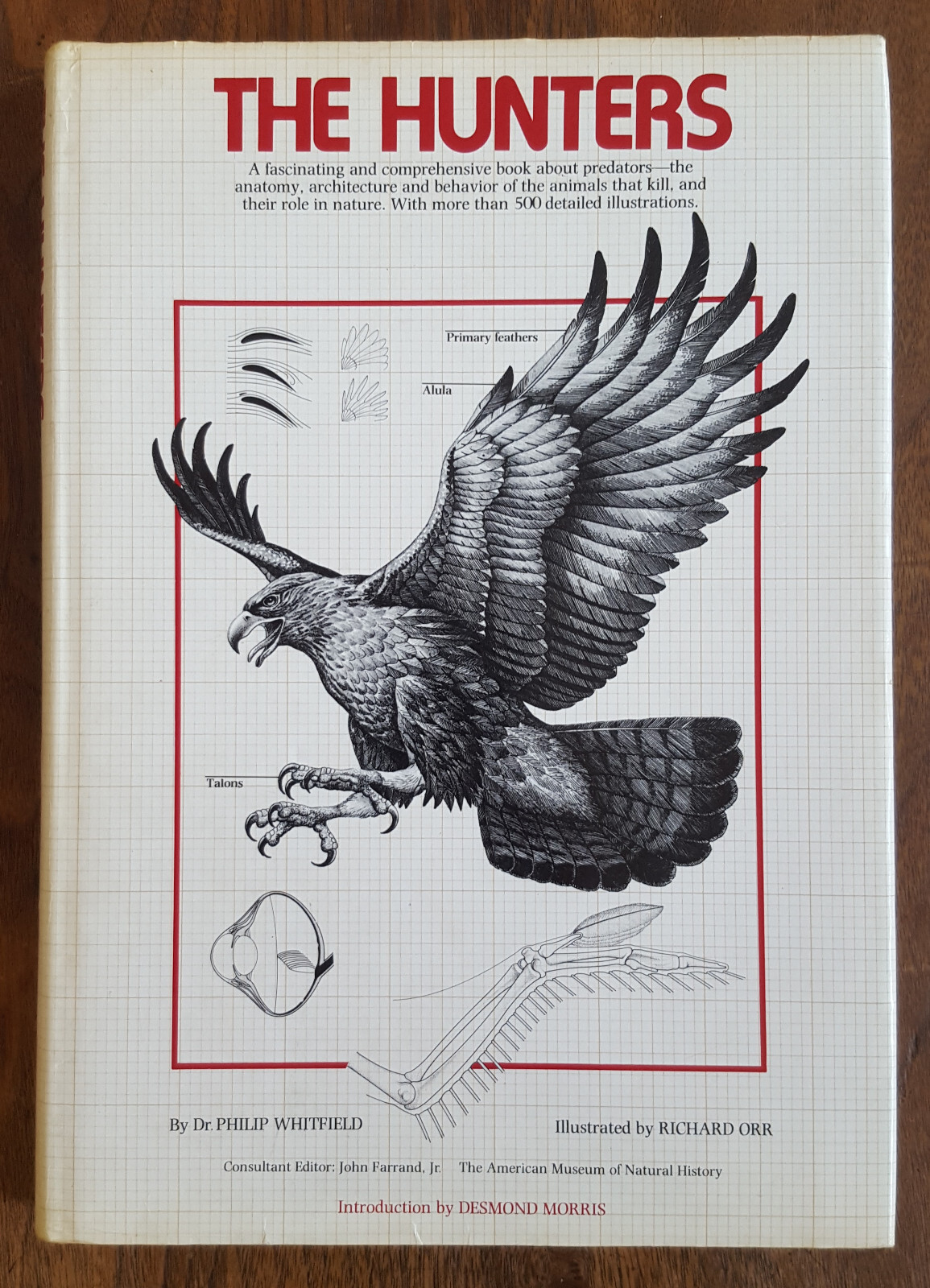 Philip Whitfield's The Hunters Predators Anatomy with 500+ Illustrations 1978