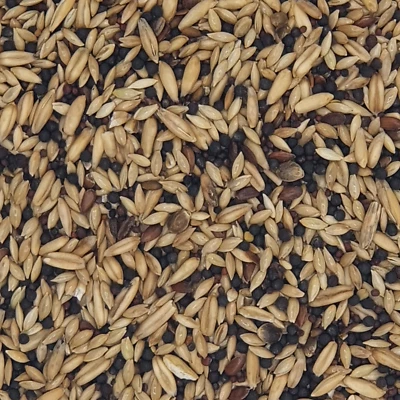 Versele Kanarien Classic 20kg