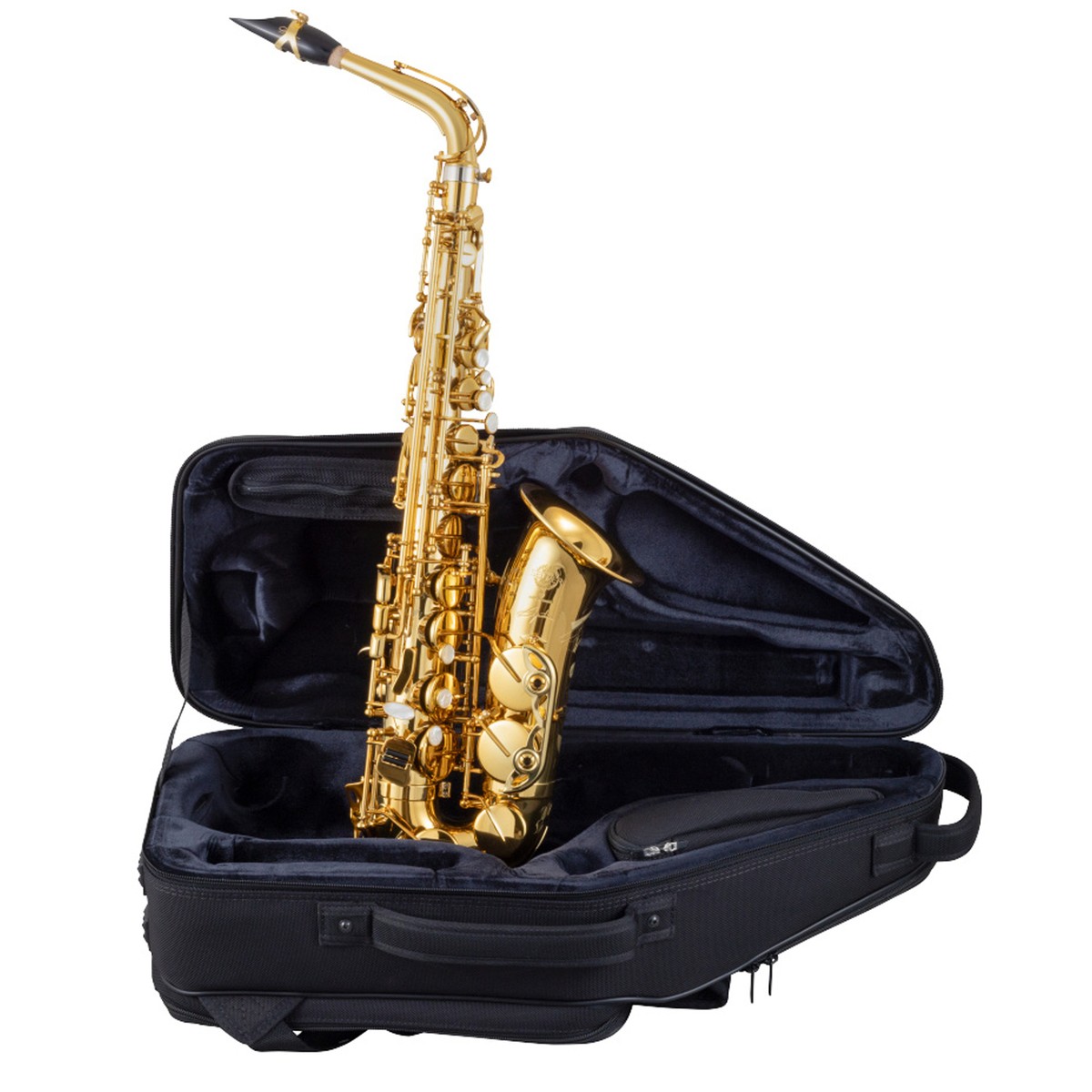 【リフェイス済み】SELMER Concept alto saxophone Henri SELMER Paris - Alto saxophones