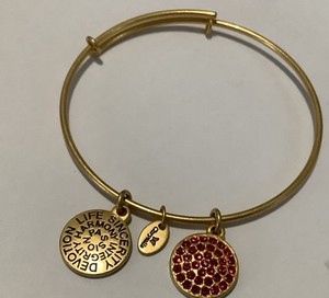 Authentic Chrysalis Authentic July Ruby Gold Plated Good Fortune Bangle (8)