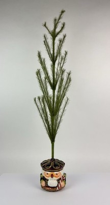 Christopher Radko Home for the Holidays Nutcracker Crunch Feather Tree 3ft