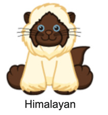 Webkinz Classic Himalayan Cat Code Only - Virtual Pet Kinz