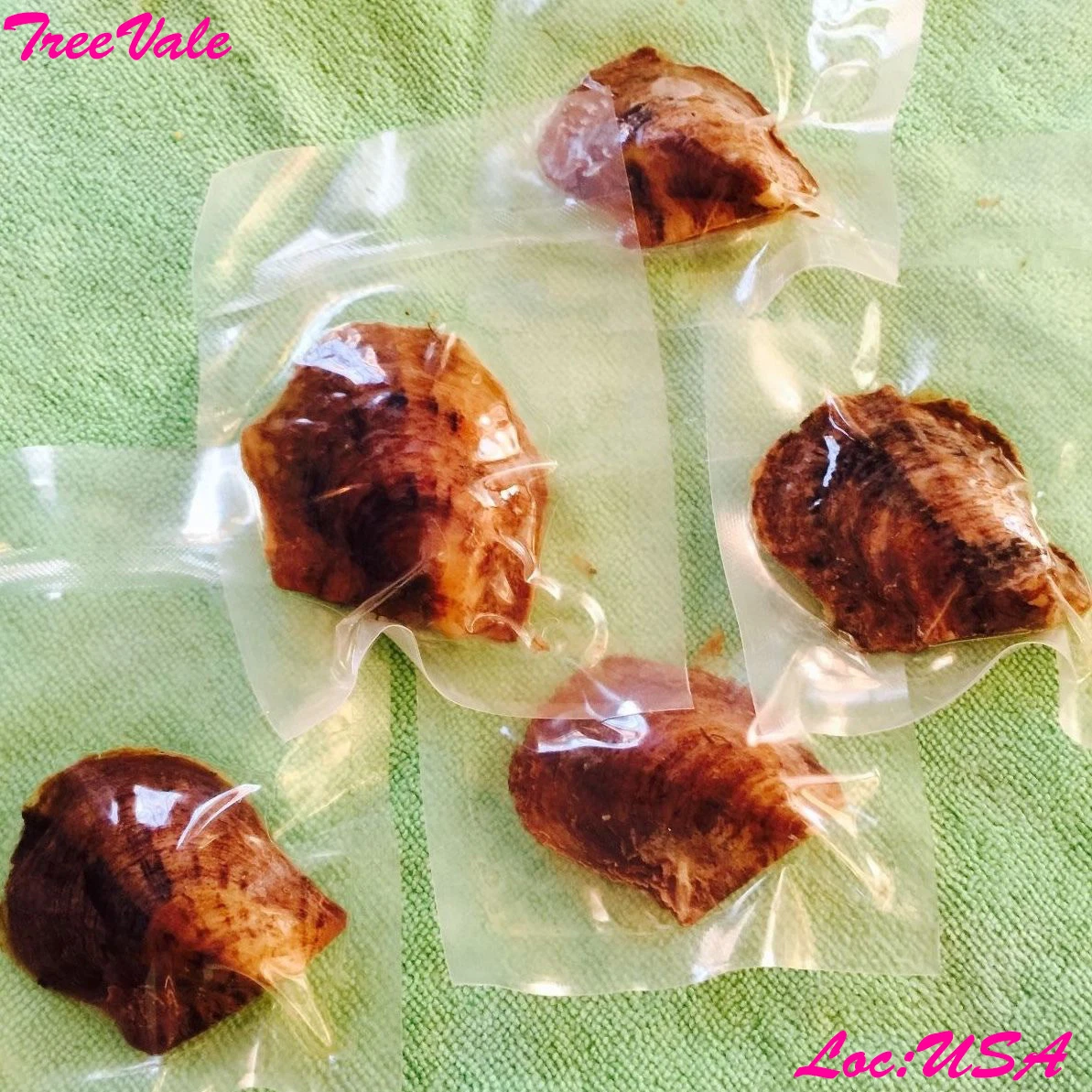 Akoya oysters with pearls for best sale sale