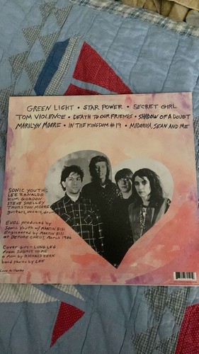 Sonic Youth Evol Vinyl (repress) ๐ฟ - Picture 2 of 5