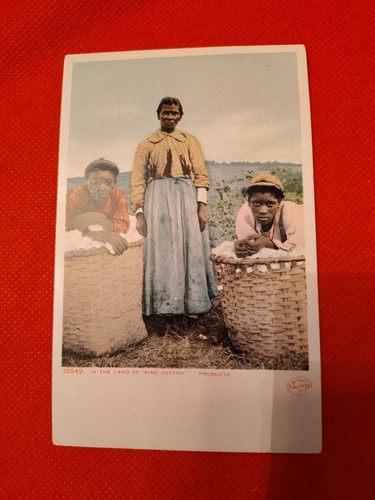 Early 1900s Post Card with  Black Family  'King Of Cotton'